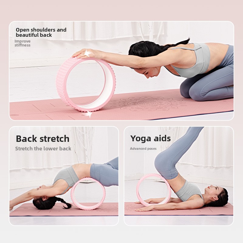 Roda Yoga untuk Pemula, Alat L - Yoga Wheel Dharma ulasan dan harga